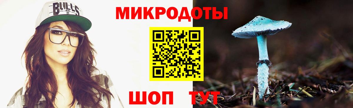 Псилоцибиновые грибы мицелий Шарыпово